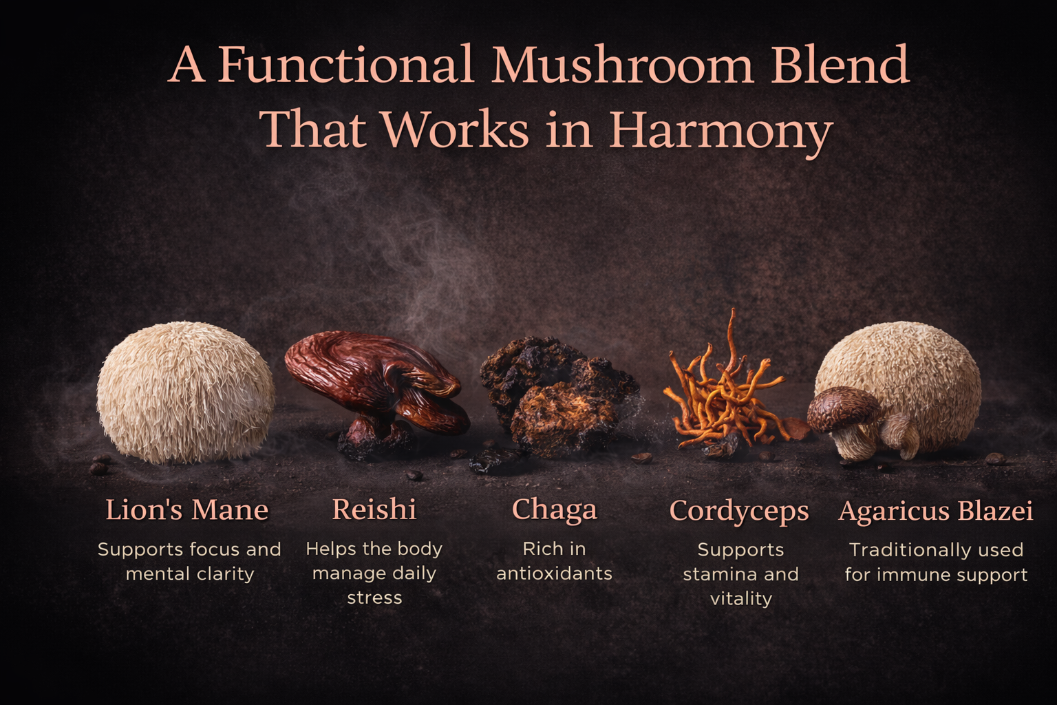 Shilajit Mushroom Latte - Image 4