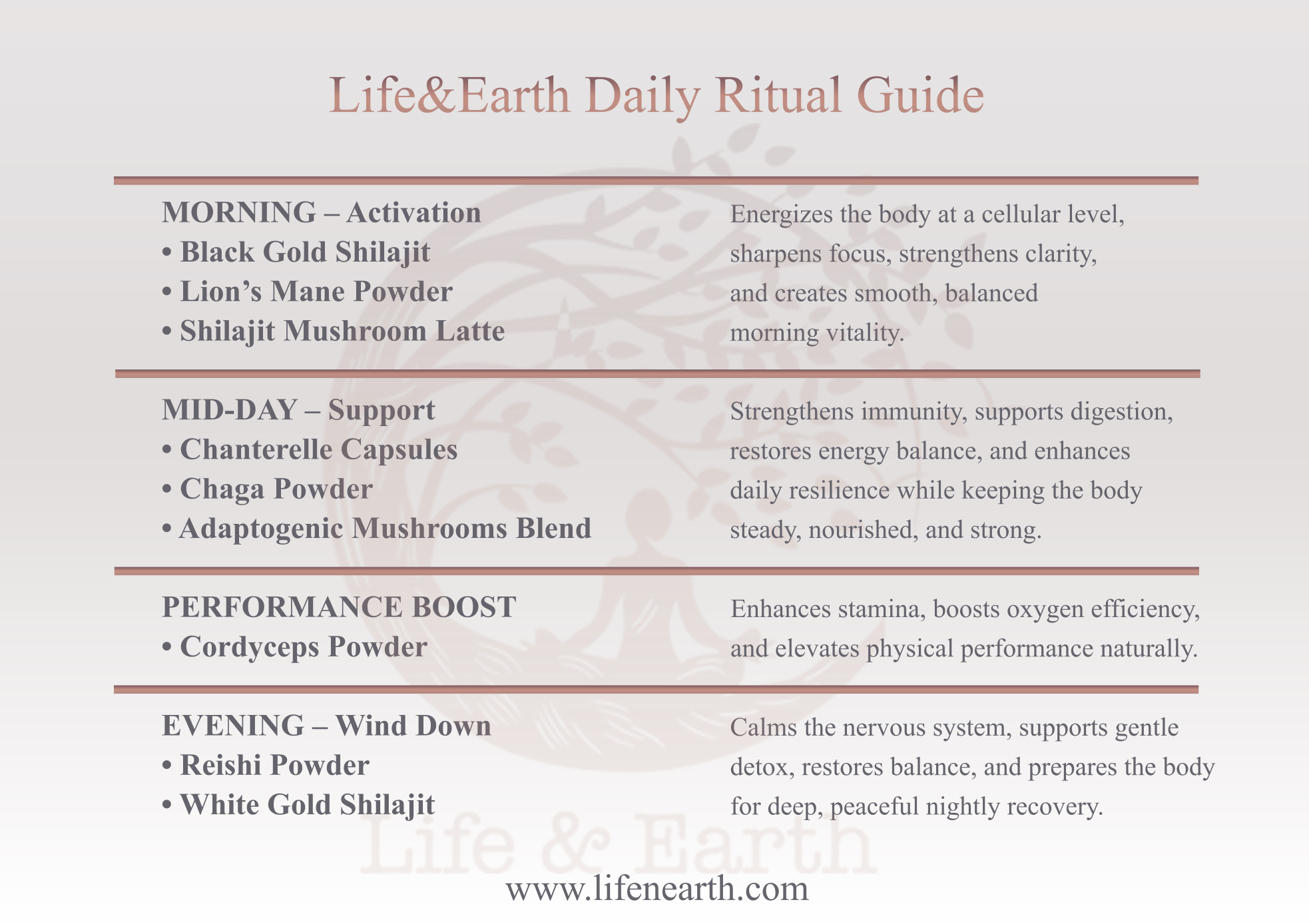 Life & Earth Wellness Ritual Bundle - Image 3