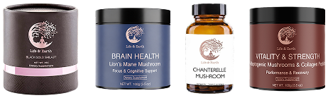 Featured Brain Health & Focus products