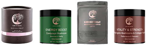 Featured Energy & Performance products